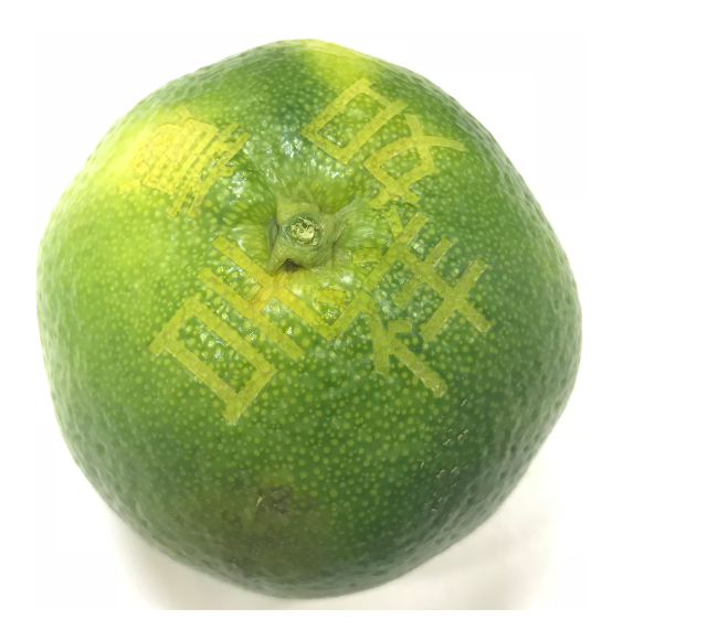 麻豆伦理片无码打標雕刻樹葉跟生鮮水果案例及其應用