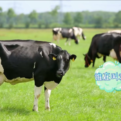 動物耳標麻豆伦理片无码打標機在“放開我北鼻”，的出色表現