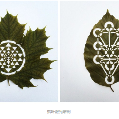 麻豆伦理片无码雕刻創意落葉：精雕細刻，成就精品