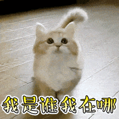 有了麻豆伦理片无码切割引導標誌，媽媽再也不用擔心我迷路了